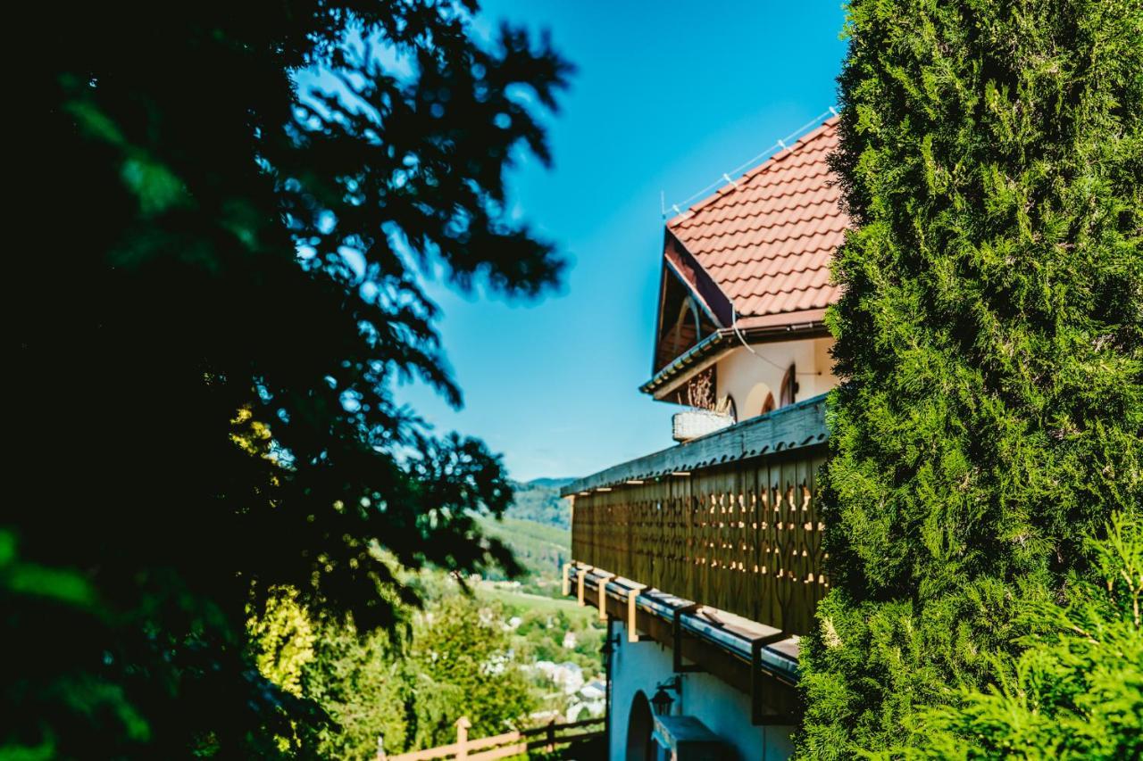 Karolowy Dwor Wisła Exteriör bild